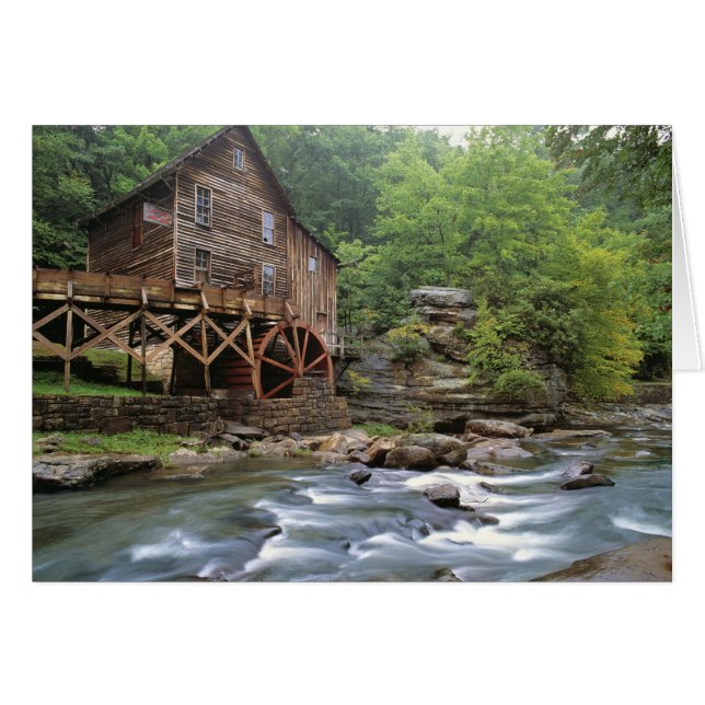 USA, West Virginia, Babcock SP. Rustic Glade (Vorderseite (Horizontal))