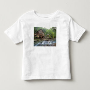 USA, West Virginia, Babcock SP. Rustic Glade Kleinkind T-shirt