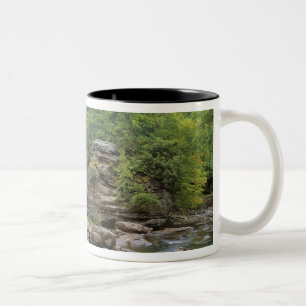 USA, West Virginia, Babcock SP. Rustic Glade Zweifarbige Tasse