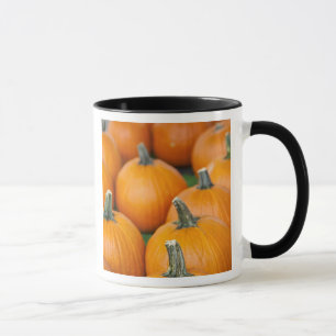 USA, West Virginia, Charleston. Capitol 2 Tasse