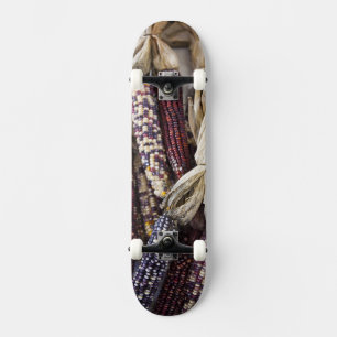 USA, West Virginia, Charleston. Kapitol Skateboard