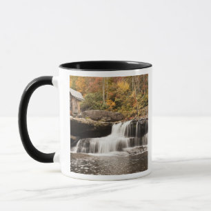 USA, West Virginia, Clifftop. Babcock State Tasse