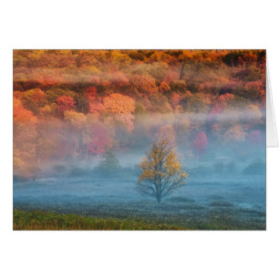 USA, West Virginia, Davis. Nebeltal und