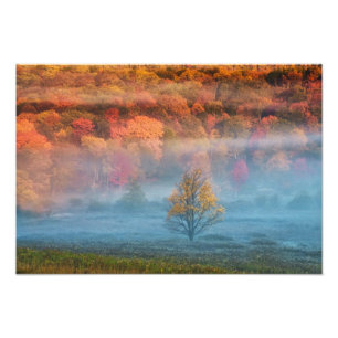 USA, West Virginia, Davis. Nebeltal und Fotodruck