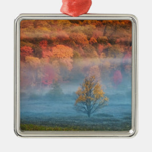 USA, West Virginia, Davis. Nebeltal und Silbernes Ornament