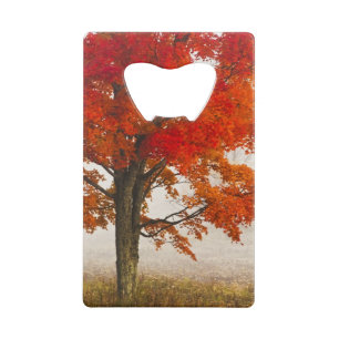 USA, West Virginia, Davis. Rotapfel im Herbst Kreditkarten Flaschenöffner