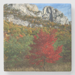 USA, West Virginia, Spruce Knob-Seneca Rocks Steinuntersetzer