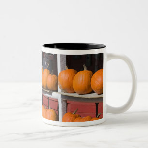 USA, WISCONSIN, Washburn: Ufer des Lake Superior, Zweifarbige Tasse