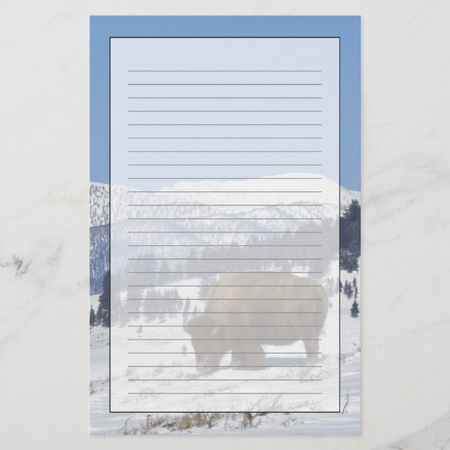 USA, WY, Yellowstone NP, American Bison Bison Briefpapier (Vorderseite)