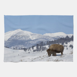 USA, WY, Yellowstone NP, Amerikanischer Bison Biso Geschirrtuch