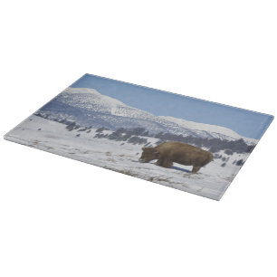 USA, WY, Yellowstone NP, Amerikanischer Bison Biso Schneidebrett