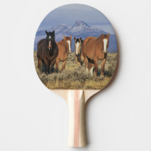 USA, Wyoming, bei Cody Group Tischtennis Schläger