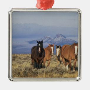 USA, Wyoming, bei Cody Gruppe von Pferden Ornament Aus Metall