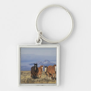 USA, Wyoming, bei Cody Gruppe von Pferden Schlüsselanhänger