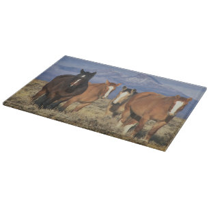USA, Wyoming, bei Cody Gruppe von Pferden Schneidebrett