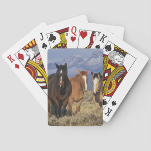 USA, Wyoming, bei Cody Gruppe von Pferden Spielkarten