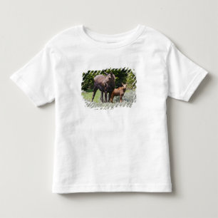 USA, Wyoming, Bighorn Mountains, Elch Alces Kleinkind T-shirt