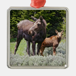 USA, Wyoming, Bighorn Mountains, Elch Alces Ornament Aus Metall