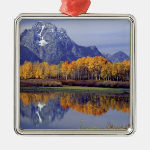 USA, Wyoming, Grand Teton National Park. Berg Silbernes Ornament