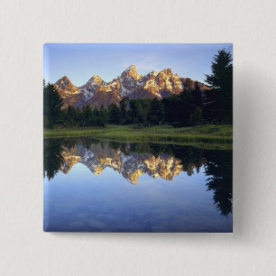 USA, Wyoming, Grand Teton National Park. Grand Button
