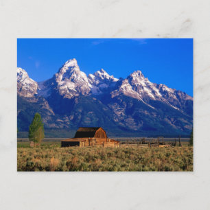 USA, Wyoming, Grand Teton National Park, Morning Postkarte