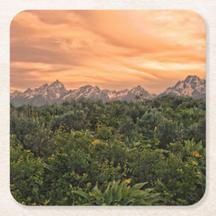 USA, Wyoming, Grand-Teton-Nationalpark 1 Rechteckiger Pappuntersetzer
