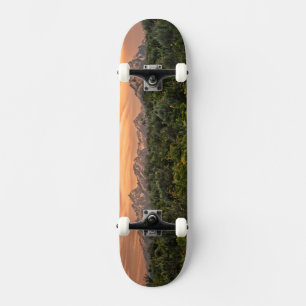 USA, Wyoming, Grand-Teton-Nationalpark 1 Skateboard
