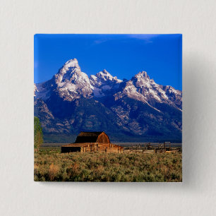 USA, Wyoming, Grand-Teton-Nationalpark, Morgen Button