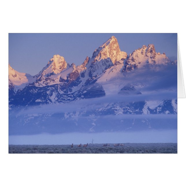 USA, Wyoming, Grand Teton NP, 2 (Vorderseite (Horizontal))