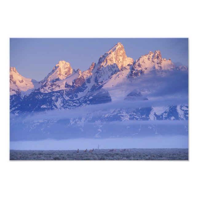 USA, Wyoming, Grand Teton NP, 2 Fotodruck (Vorne)