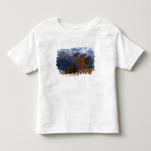 USA, Wyoming, Grand Teton NP. Eine einsame Zeder Kleinkind T-shirt