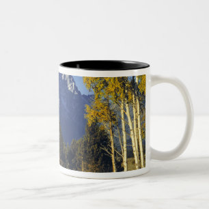 USA, Wyoming, Grand Teton NP. Parkplatz Teton Zweifarbige Tasse