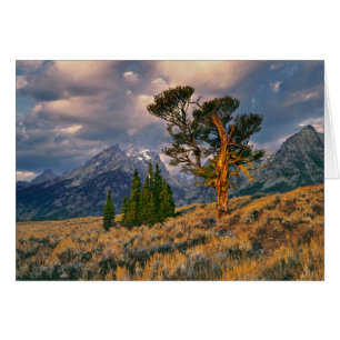 USA, Wyoming, Grand Teton NP. Sonnenaufgang begrüß
