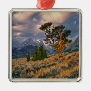 USA, Wyoming, Grand Teton NP. Sonnenaufgang begrüß Silbernes Ornament