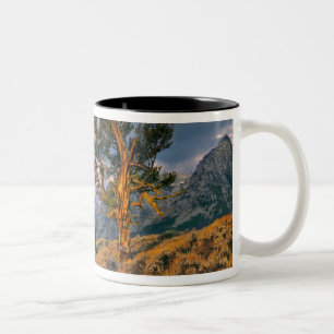 USA, Wyoming, Grand Teton NP. Sonnenaufgang begrüß Zweifarbige Tasse