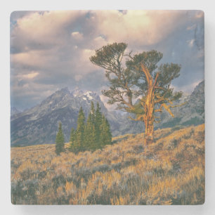 USA, Wyoming, Grand Teton NP. Sonnenaufgang Steinuntersetzer