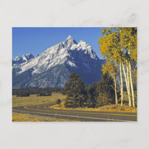 USA, Wyoming, Grand Teton NP. Teton Parkway Postkarte