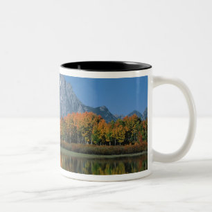 USA, Wyoming, Grand Tetons Nationalpark in 4 Zweifarbige Tasse