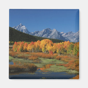 USA, Wyoming, Grand Tetons Nationalpark in Magnet