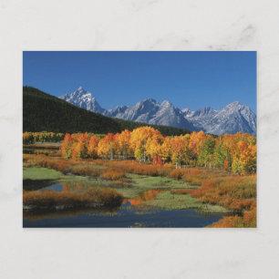 USA, Wyoming, Grand Tetons Nationalpark in Postkarte