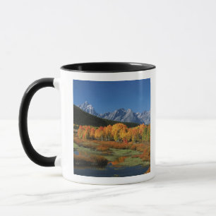 USA, Wyoming, Grand-Tetons-Nationalpark in Tasse
