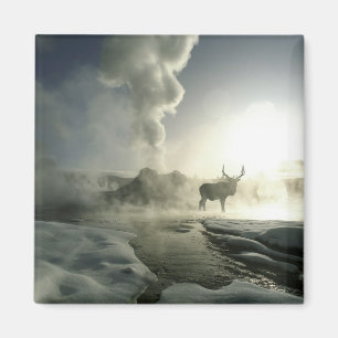 USA, Wyoming, Yellowstone National Park. Sonnenauf Magnet