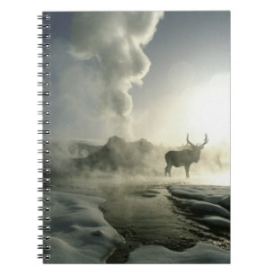 USA, Wyoming, Yellowstone National Park. Sonnenauf Notizblock