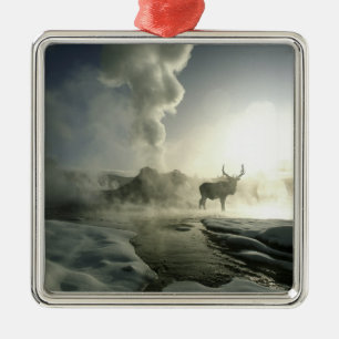 USA, Wyoming, Yellowstone National Park. Sonnenauf Silbernes Ornament