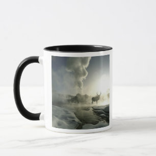 USA, Wyoming, Yellowstone National Park. Sonnenauf Tasse