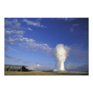 USA, Wyoming. Yellowstone-Nationalpark. Alt Fotodruck