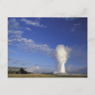 USA, Wyoming Yellowstone-Nationalpark. alt Postkarte