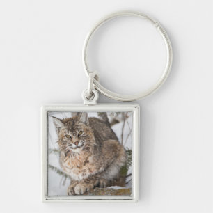 USA, Wyoming, Yellowstone-Nationalpark, Bobcat Schlüsselanhänger