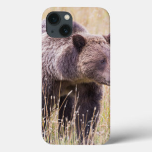 USA, Wyoming, Yellowstone-Nationalpark, Grizzly 3 title_seo2