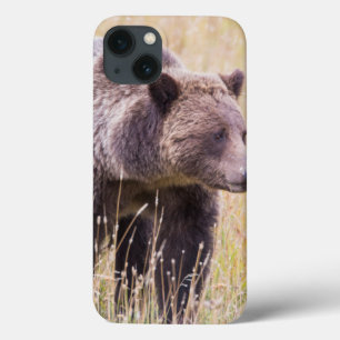 USA, Wyoming, Yellowstone-Nationalpark, Grizzly 3 Case-Mate iPhone Hülle
